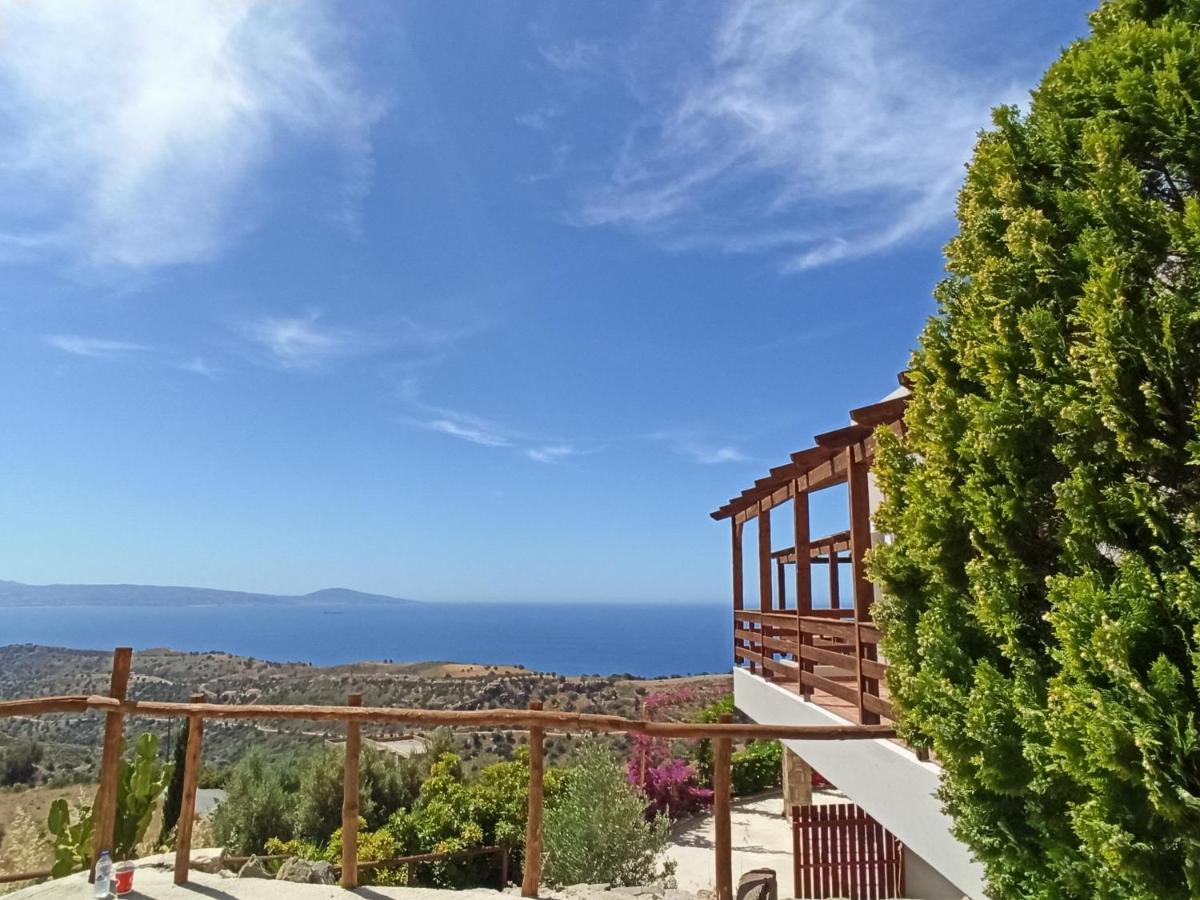 Appartement Alexena *