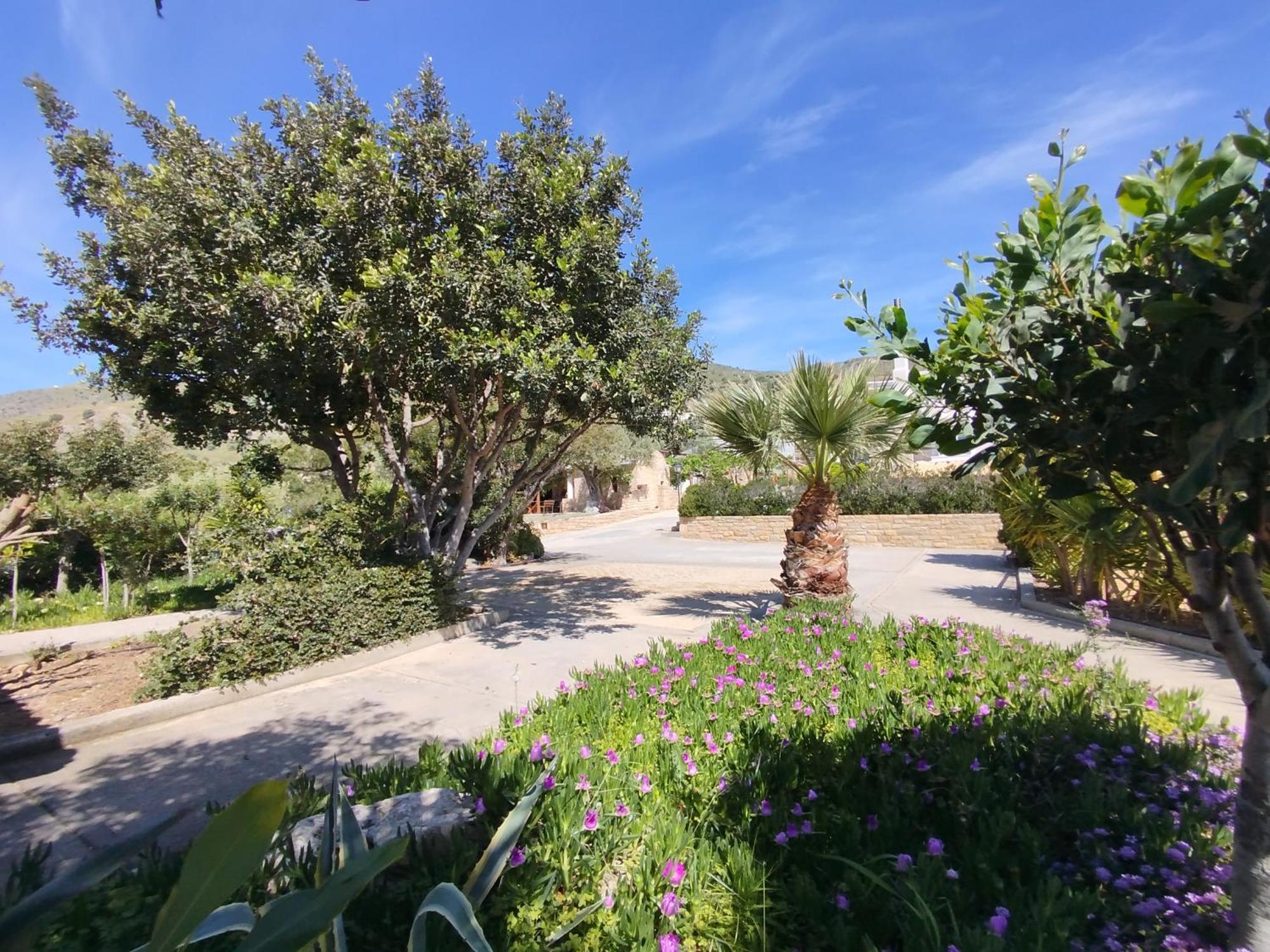 Apartament Alexena